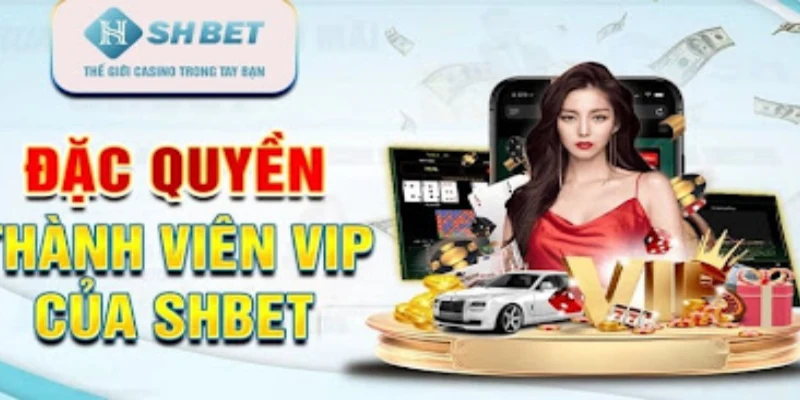 Đặc quyền nhận được của vip Shbet