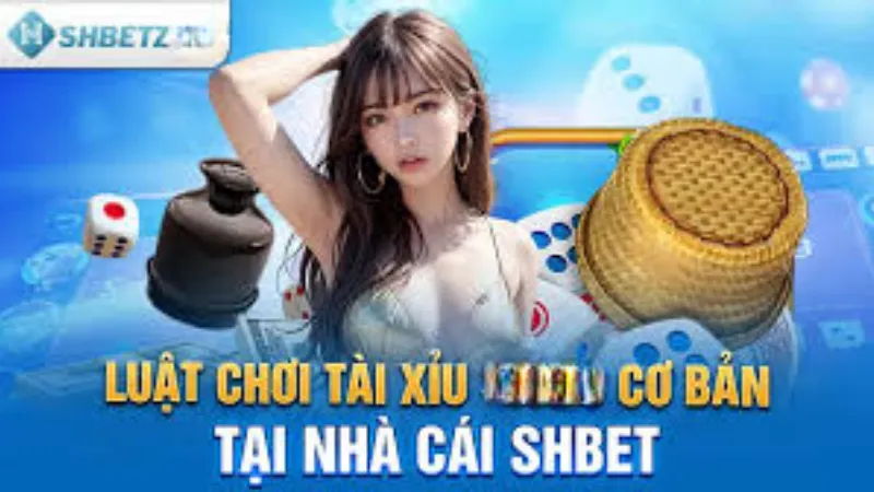 Luật lệ khi chơi tài xỉu SHBET dễ hiểu